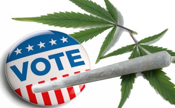 Massachusetts joins the list of legal marijuana states — David Icke latest headlines