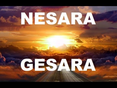 NESARA, GESARA, Qanon, Trump and the Bible